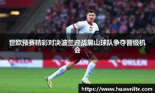 芒果体育app官网入口